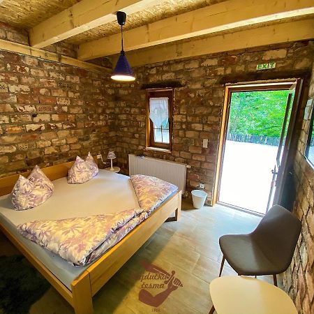 Holiday Park Hajducka Cesma Dubovsko Buitenkant foto