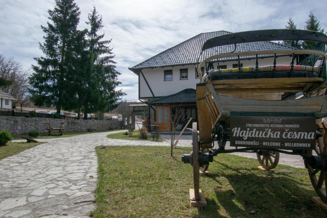 Holiday Park Hajducka Cesma Dubovsko Buitenkant foto