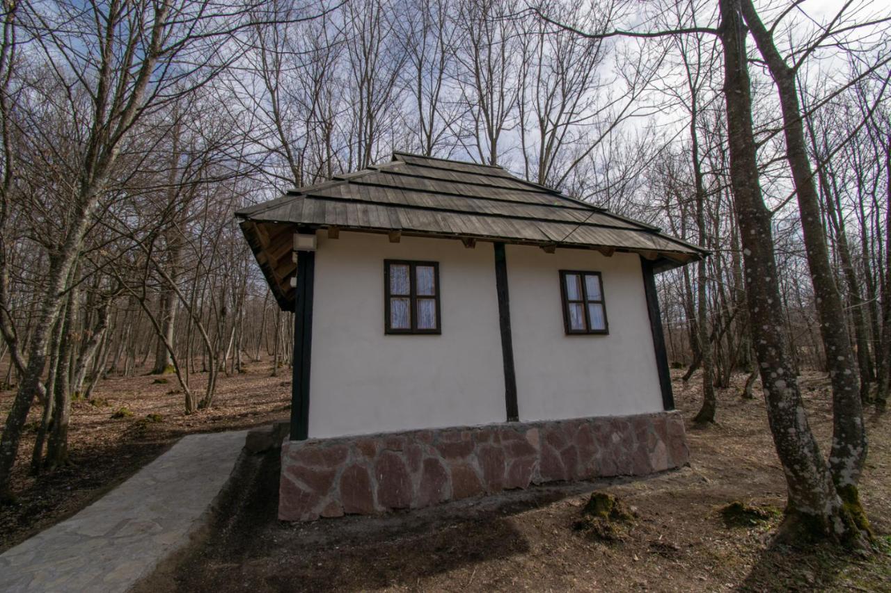 Holiday Park Hajducka Cesma Dubovsko Buitenkant foto