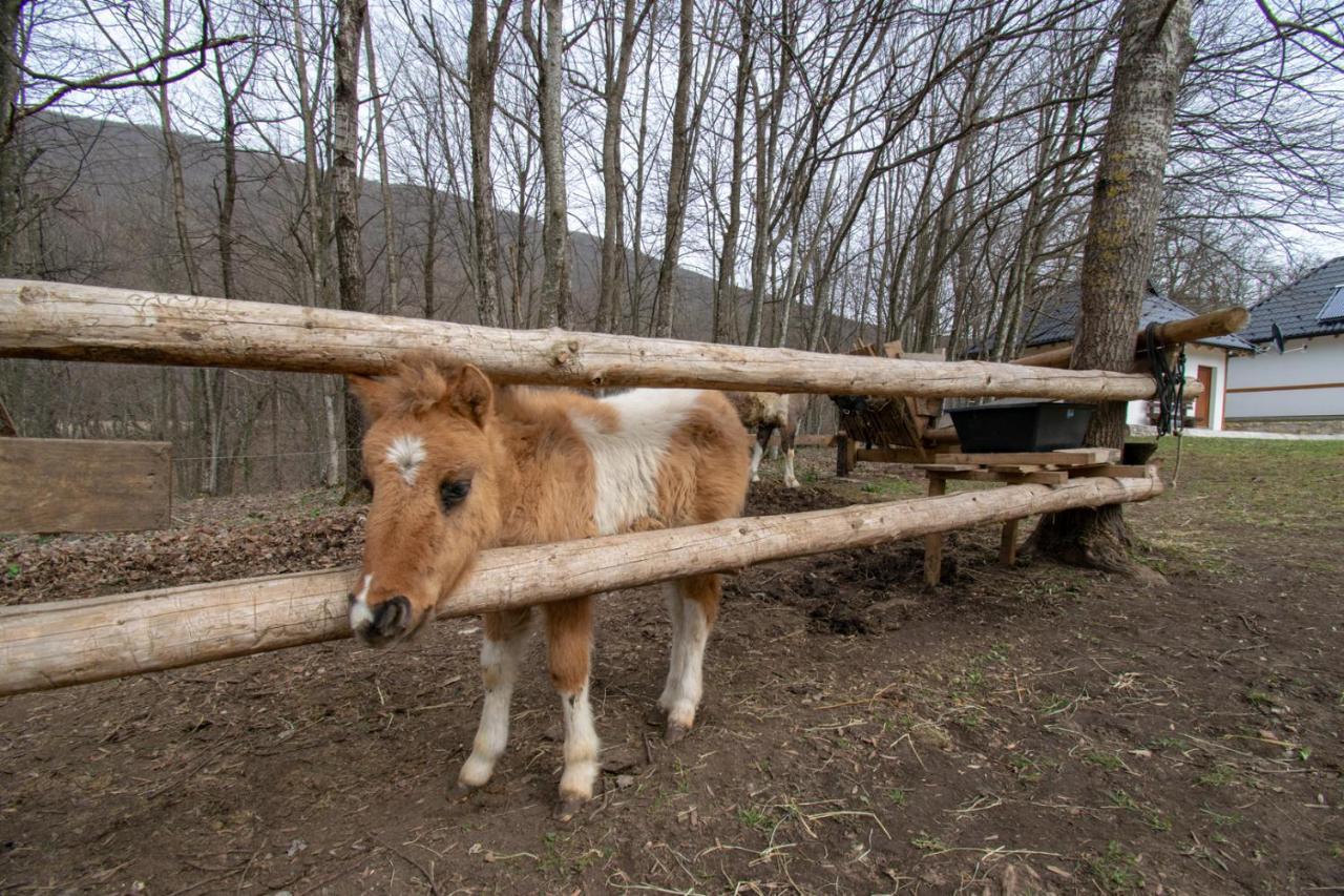 Holiday Park Hajducka Cesma Dubovsko Buitenkant foto