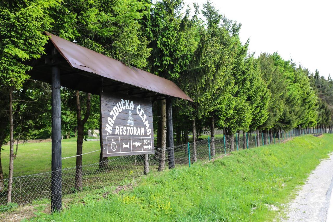 Holiday Park Hajducka Cesma Dubovsko Buitenkant foto